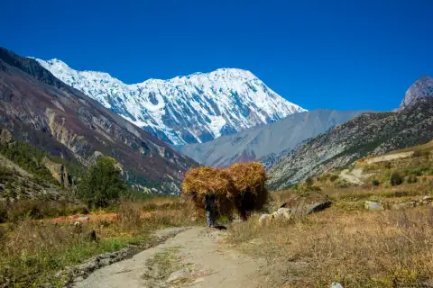 Mountain landscape: Annapurna