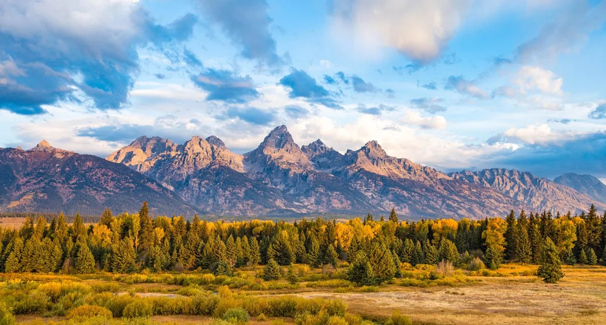 Mountain landscape: Grand Teton