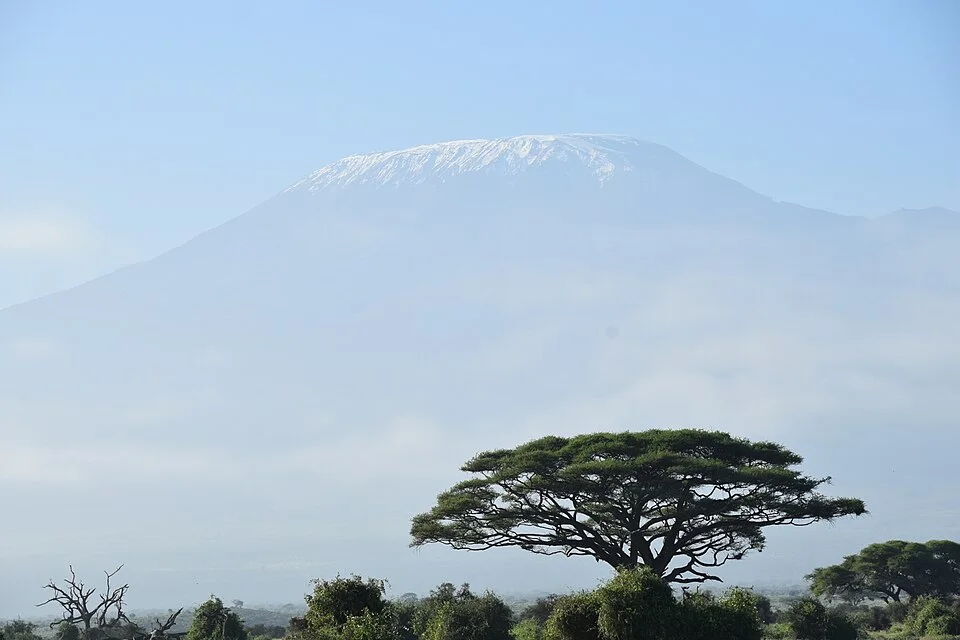 Mountain landscape: Kilimanjaro
