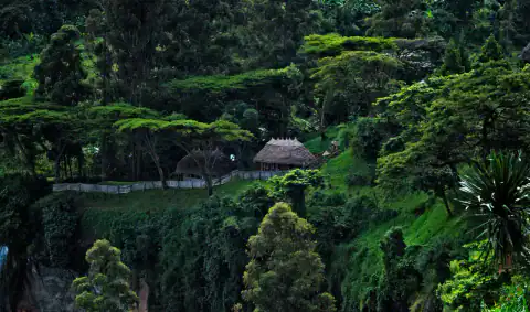 Mountain landscape: Mount Elgon