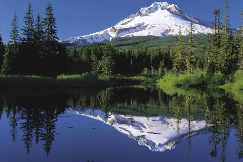 Mountain landscape: Mount Hood