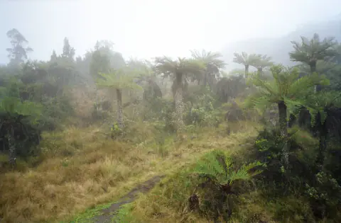 Mountain landscape: Mount Wilhelm