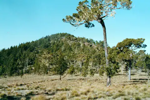Mountain landscape: Pico Duarte