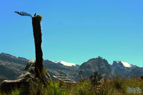 Mountain landscape: Puncak Jaya