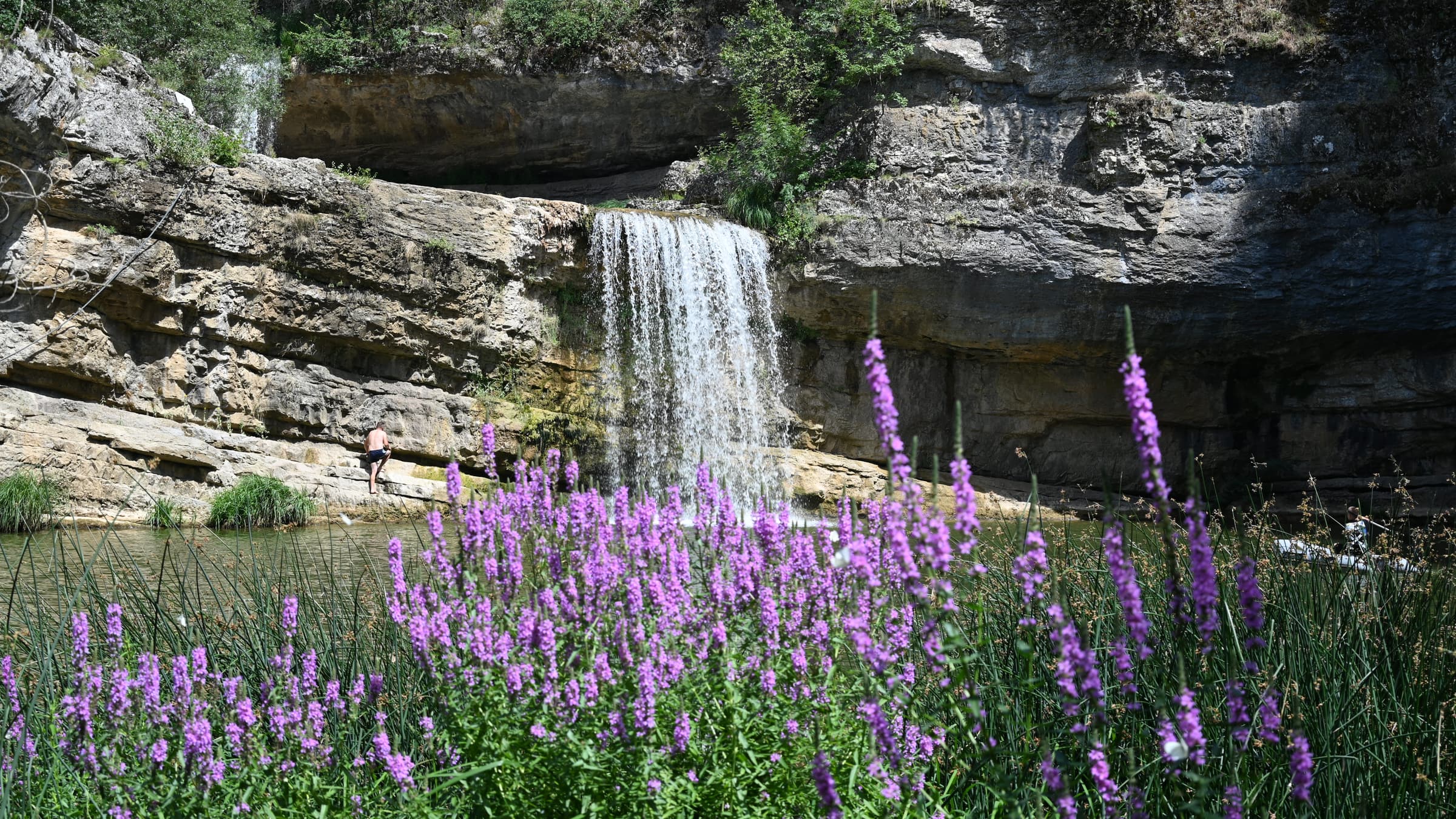 La cascada de Mirusha en verano tras un macizo de salicaria púrpura
