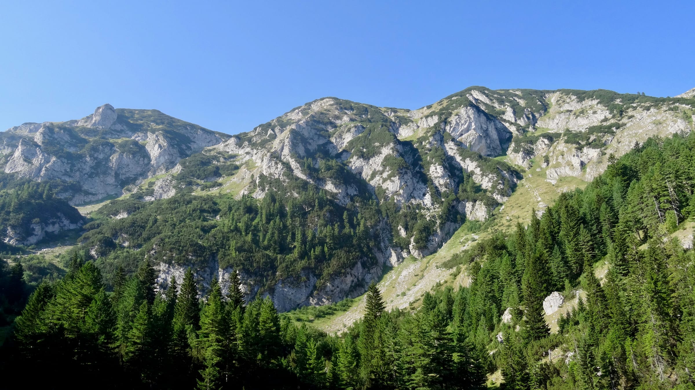 Des sommets calcaires gris dominant la pinède sur le sentier Peaks of the Balkans, dans les montagnes de Rugova
