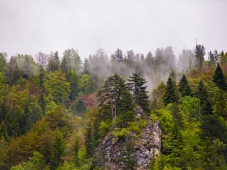 Mist rising from the mixed forest above Reka e Allagës after rain in Rugova
