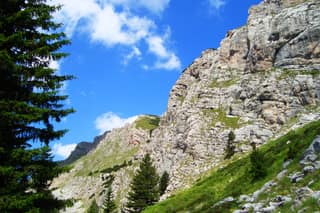 The limestone walls of Kopranik above a pine-fringed meadow in the Rugova mountains