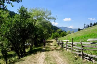 A walker on the cart track between wooden fences and willows at Drelaj in the Rugova valley