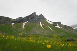 Buttercup meadow below the snow-streaked rock crown of Gjeravica in early summer