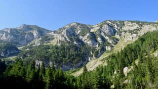 Grey limestone summits rising above the pine forest on the Peaks of the Balkans trail in the Rugova mountains