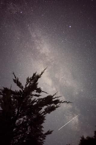 The Milky Way over silhouetted firs at Prevalla in the Sharr Mountains